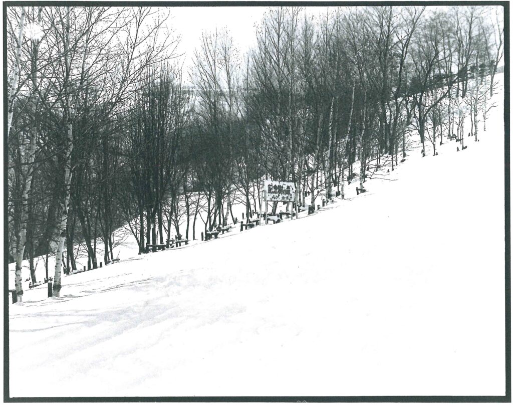 1977年2月旭山記念公園記念樹の森