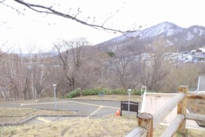 旭山記念公園のようす2022年4月15日1