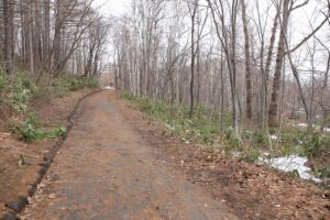 旭山記念公園の様子2022年4月15日5