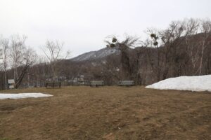 旭山記念公園の様子2022年4月15日7