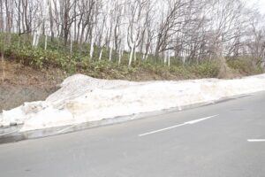 旭山記念公園の様子2022年4月15日3