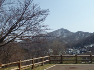 1本桜から藻岩山を望む。4月20日(水曜日）