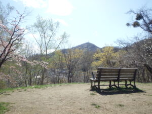 森の家の前のベンチ