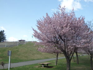展望広場を見上げて