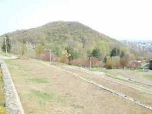 旭山記念公園の桜2022年5月5日新桜並木円山