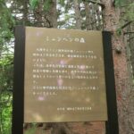 ミュンヘンの森