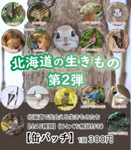 ポップ北海道の生きもの第2弾