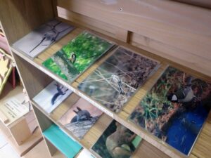 オリジナルポストカード