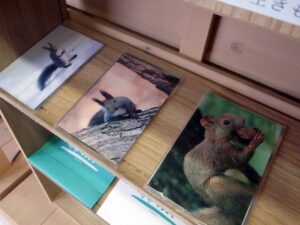 オリジナルポストカード2