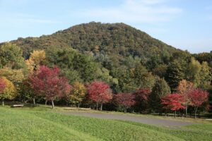 紅葉2022年10月14日円山と新桜並木