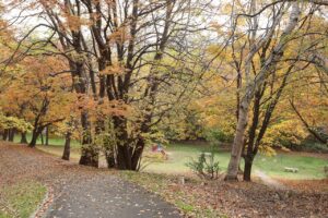 旭山記念公園の紅葉2022年10月28日11