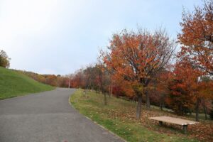 旭山記念公園の紅葉2022年10月28日13