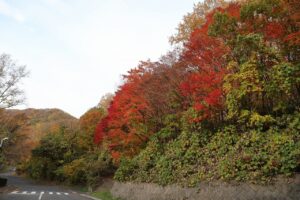 旭山記念公園の紅葉2022年10月28日2