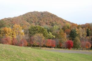 旭山記念公園の紅葉2022年10月28日17