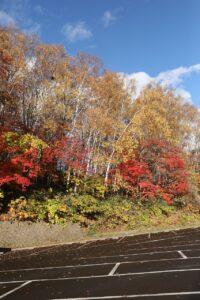 旭山記念公園の紅葉2022年10月29日5