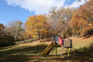 旭山記念公園の紅葉2022年10月29日8