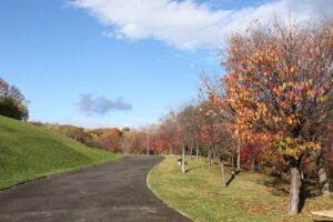 旭山記念公園の紅葉2022年10月29日11