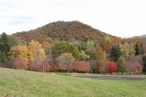 旭山記念公園の紅葉2022年10月29日16