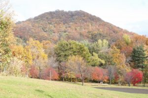 旭山記念公園の紅葉2022年10月30日7