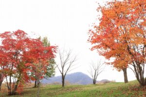 旭山記念公園の紅葉2022年10月２