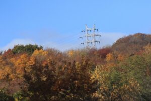 旭山記念公園の紅葉2022年10月29日16