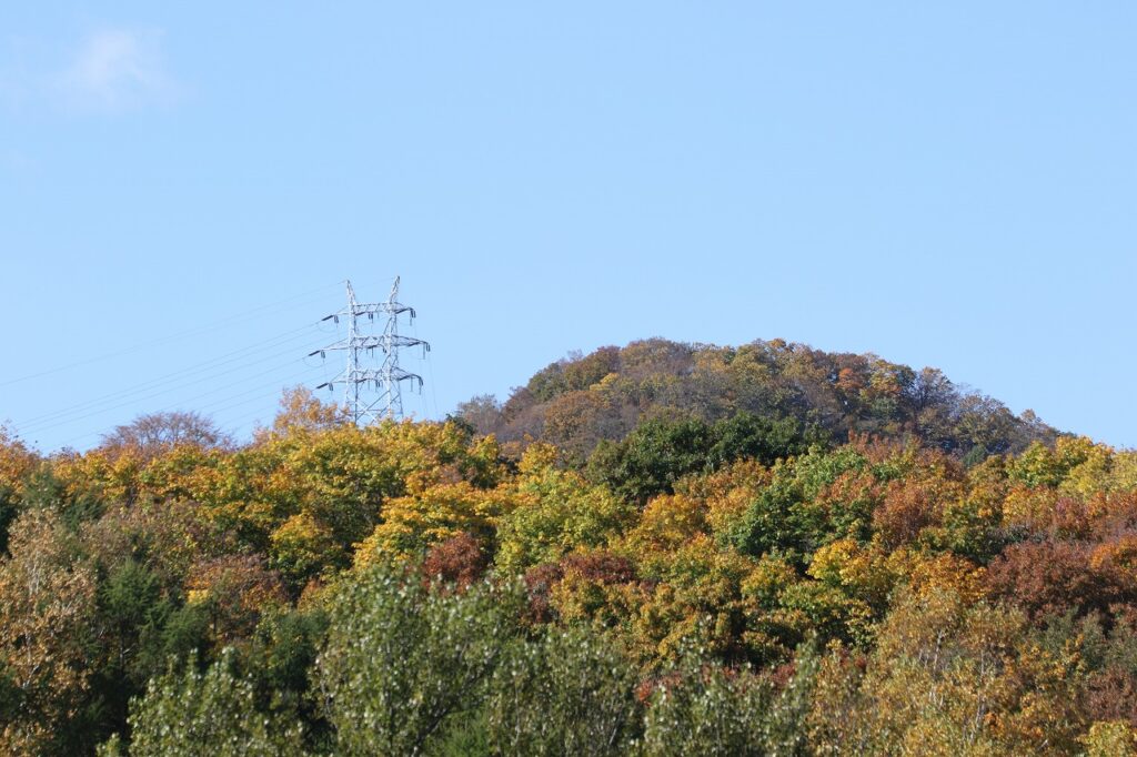 2022年10月20日紅葉状況 (6)