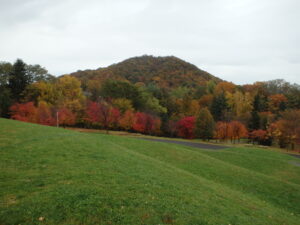 新桜並木の紅葉と円山