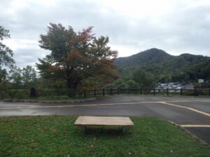 紅葉情報2022年10月5日4展望台一本桜藻岩山