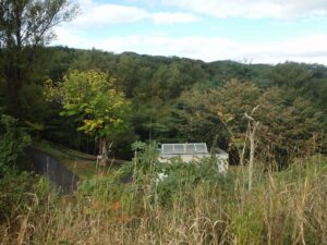 紅葉情報2022年10月5日8西側