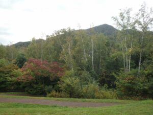 紅葉情報2022年10月5日7噴水広場から