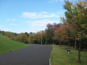 紅葉情報2022年10月5日6新桜並木