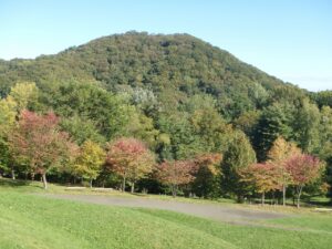 旭山記念公園紅葉情報2022年10月7日5円山と新桜並木