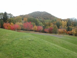 旭山記念公園の紅葉2022年10月19日2円山新桜並木