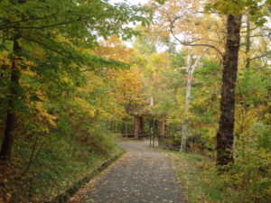 森の家から風の丘への散策路