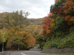 公園入口から第一駐車場の紅葉