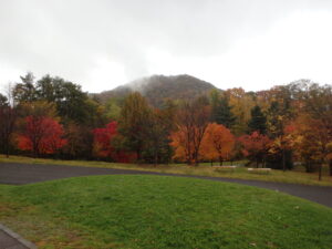 新桜並木の紅葉と円山