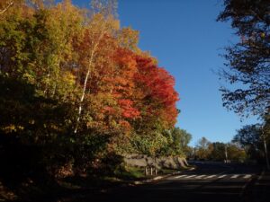 旭山記念公園の紅葉2022年10月25日15