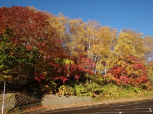旭山記念公園の紅葉2022年10月25日6