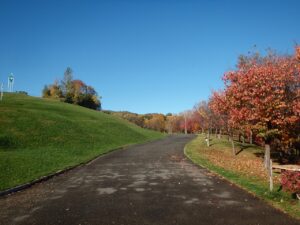 旭山記念公園の紅葉2022年10月25日11