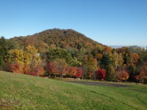 旭山記念公園の紅葉2022年10月25日10
