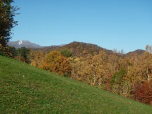 旭山記念公園の紅葉2022年10月25日9