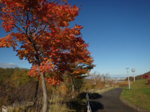 展望台からの北側の風景、石狩湾と銭函の風力発電の風車