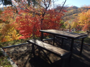 展望台ベンチの紅葉