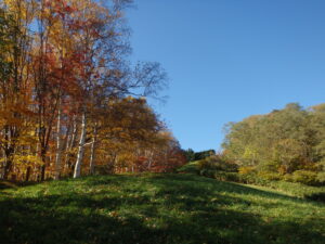 ちびっこ広場から展望デッキに向かう散策路からの紅葉