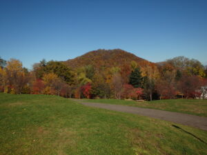 新桜並木の紅葉と円山
