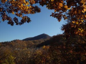 第一駐車場から森の家に向かう散策路から見た藻岩山