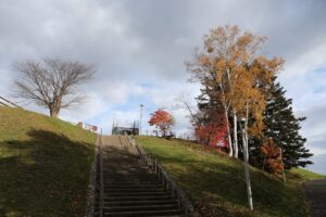 旭山記念公園の紅葉2022年11月3日11月1日6
