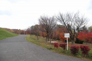 旭山記念公園の紅葉2022年11月3日11月1日9