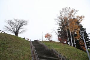 旭山記念公園の紅葉2022年11月3日11月3日6