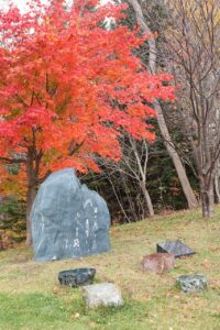 旭山記念公園の紅葉2022年11月3日11月3日8